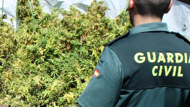 Detenido con 128 pastillas de éxtasis, 31 gramos de hachís, 71 de marihuana y cinco de speed