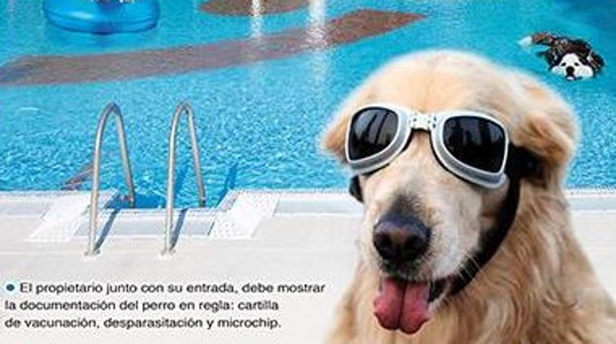 Cartel publicitario de la iniciativa «¡Al agua perros!» en Pinto