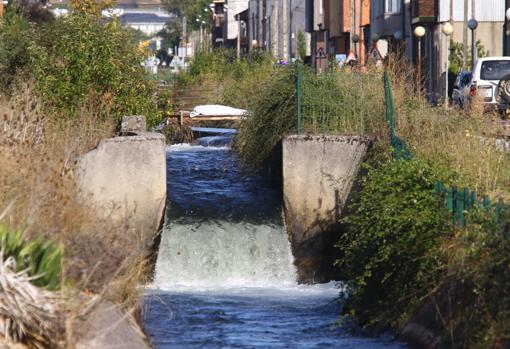 Imagen del canal donde ha aparecido el cadáver de un hombre