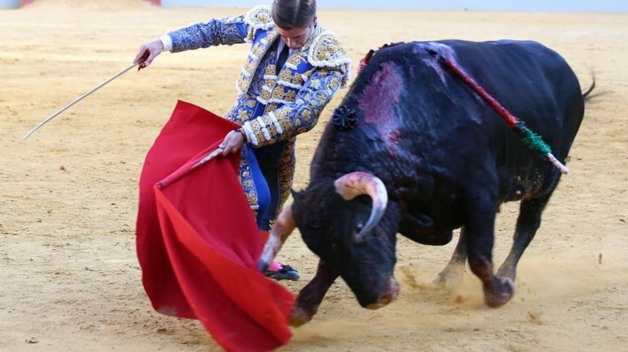 Alejandro Mora con un «jandilla»