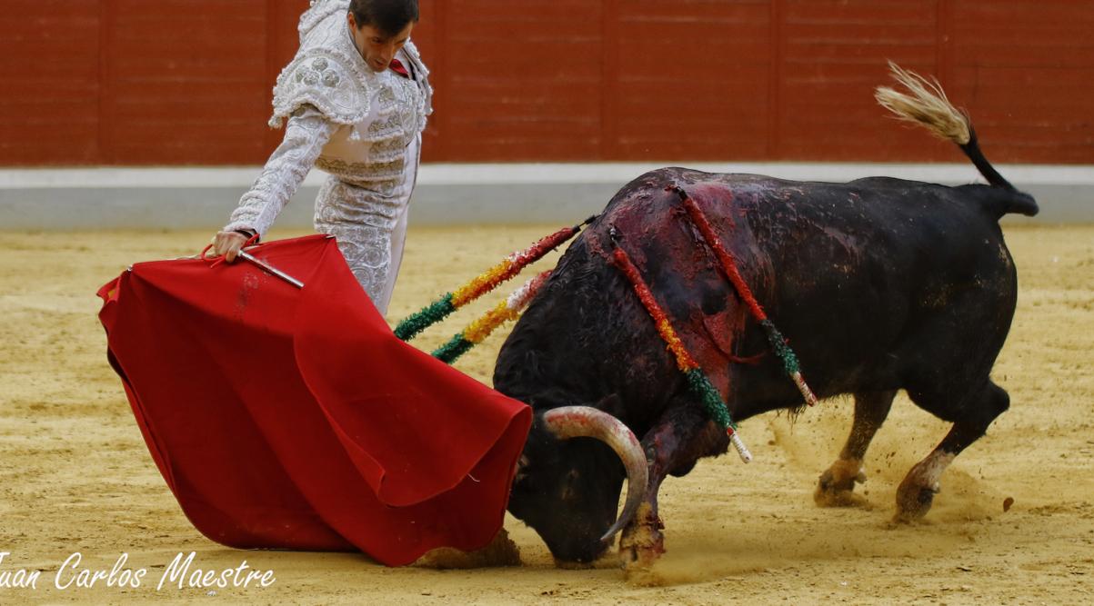 Francisco Montero demostró que quiere ser torero