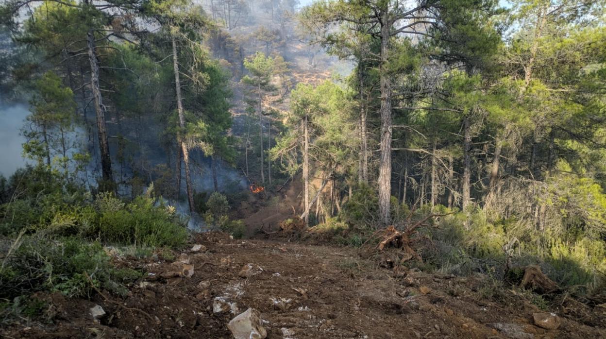 Una de las zonas afectadas por los incendios