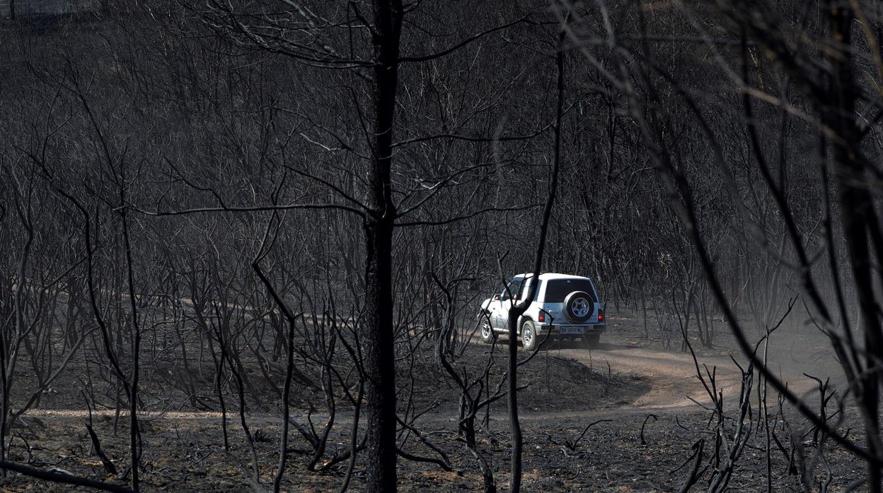 Un coche circula por un monte devastado por las llamas en Mañente, Monforte