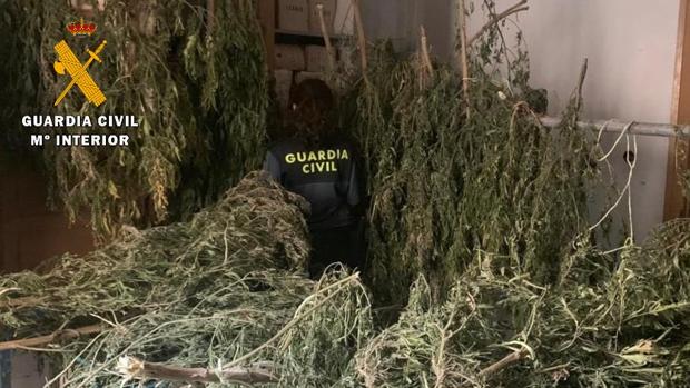 Cuatro detenidos y 350 kilos de marihuana intervenidos en Huesca en dos operaciones antidroga