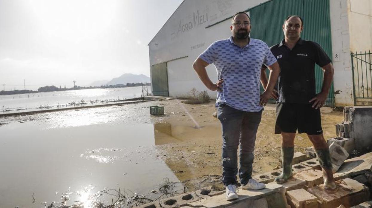 Dos agricultores afectados en la Vega Baja por las inundaciones