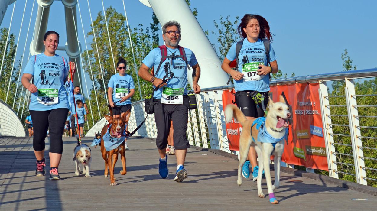 Participantes en la carrera celebrada este domingo