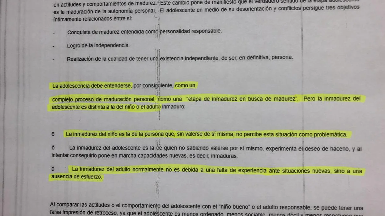 Las otras fuentes de las que copió Canoyra en su tesis doctoral: Wikipedia  y El Rincón del Vago