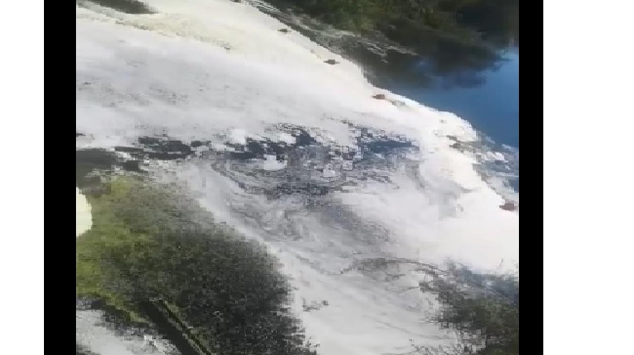 Estado actual del arroyo de las Parras