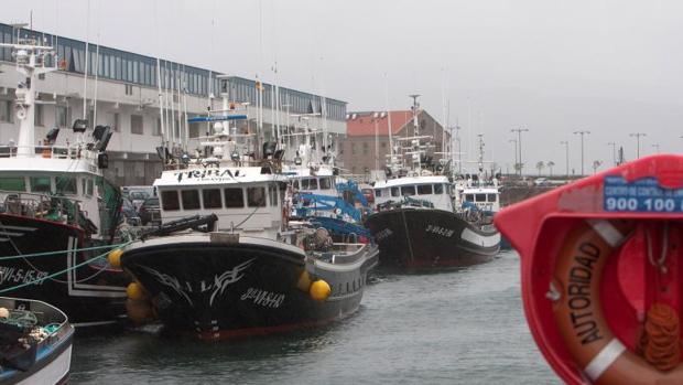 El sector pesquero teme un escenario «caótico» si hay un Brexit duro