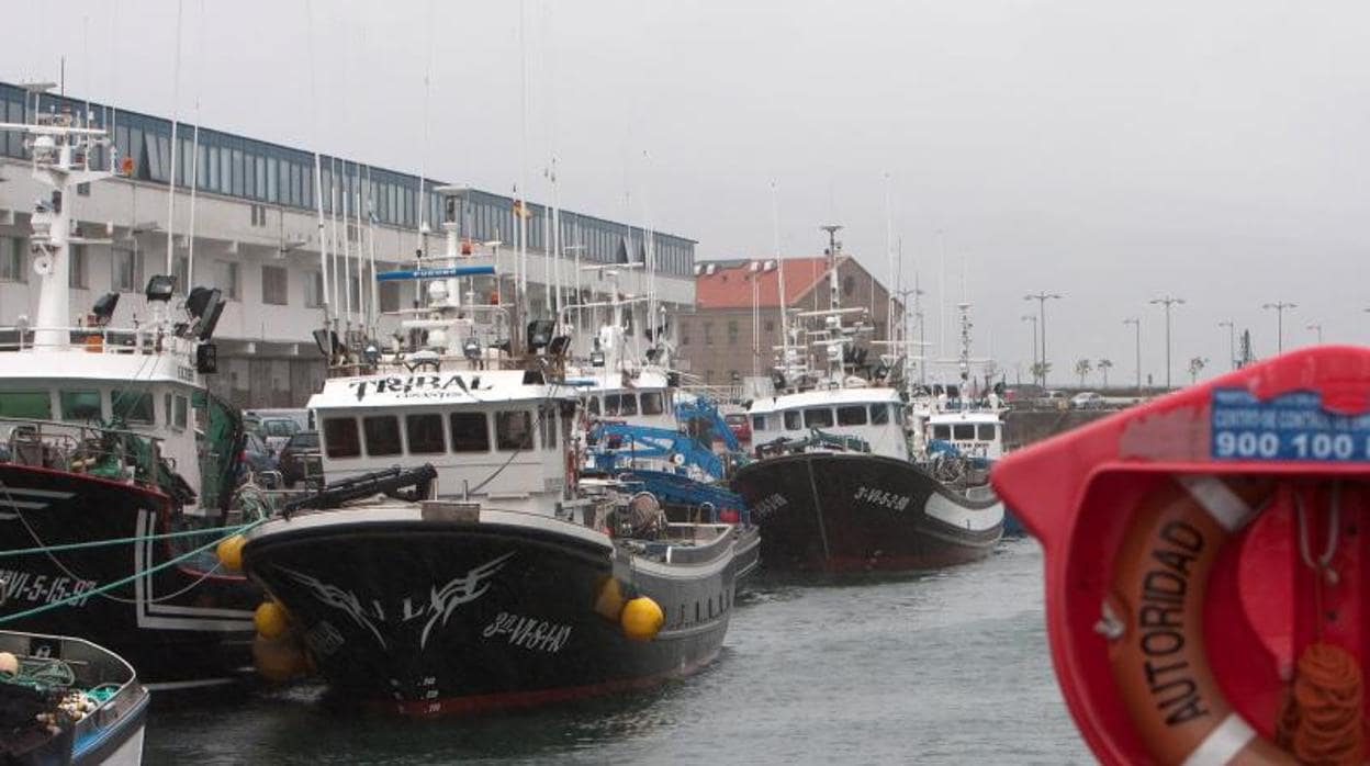 Flota pesquera amarrada en el puerto de Vigo