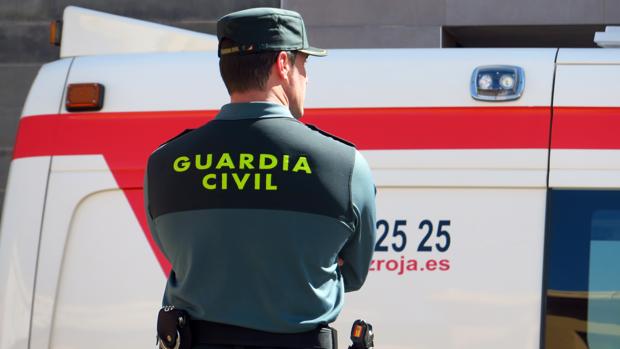 Detienen a un albanés a la espera de ser repatriado por robar en 84 casas de la provincia de Alicante