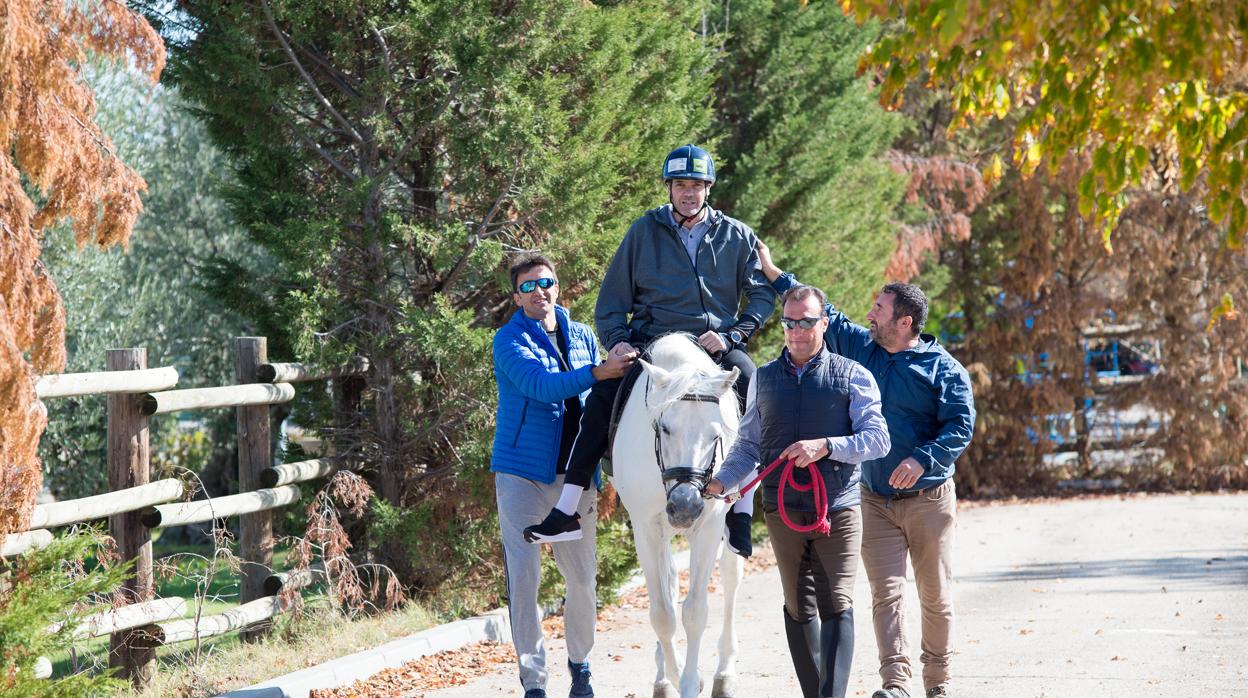 Uno de los caballos utilizados en las sesiones de equinoterapia