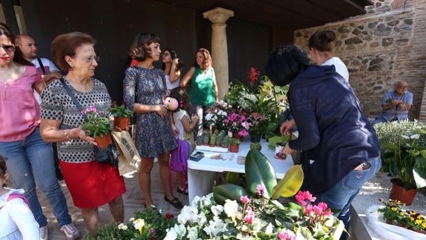 El sábado regresa el Mercado de las Flores al jardín de San Lucas