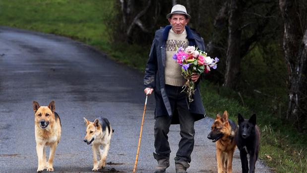 Los gallegos se gastan entre 40 y 500 euros en crisantemos y rosas blancas