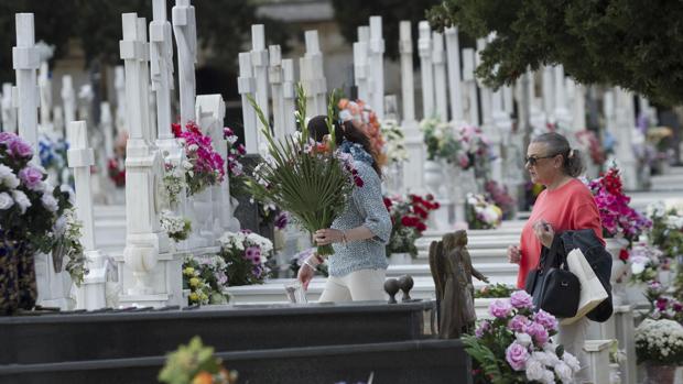 Las margaritas, rosas, gladiolos y claves, las flores más vendidas para el Día de Todos los Santos