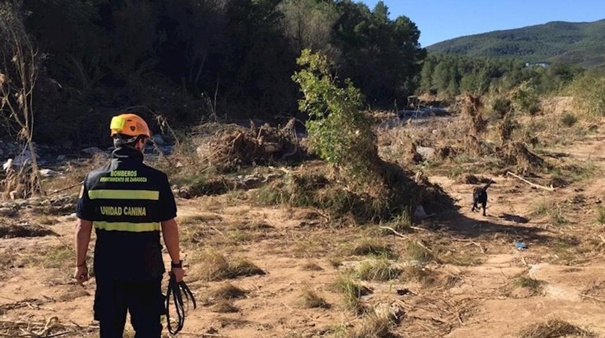 Guía canino en la zona del río Francolí donde se busca a los desaparecidos por la gota fría