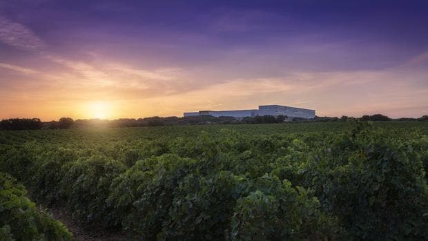 Cuatro vinos de Finca Antigua, calificados como «excelentes» por la Guía Peñín