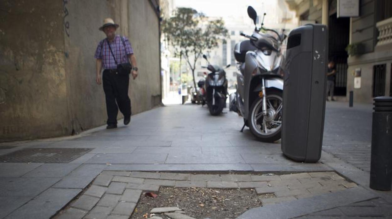 Uno de los 20.000 alcorques vacíos que hay en Madrid