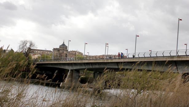 Unos policías de paisano reducen a un menor de 14 años que amenazaba con lanzarse al río Tajo en Toledo