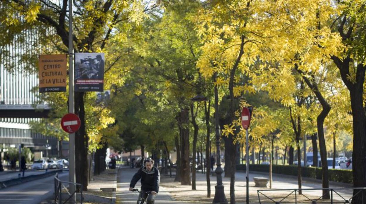 Un hombre cruza en bici por el bulevar del paseo de la Castellana