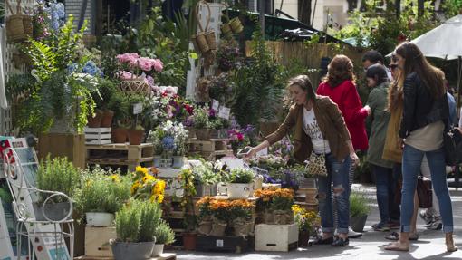 Los mejores planes para disfrutar el fin de semana en Madrid