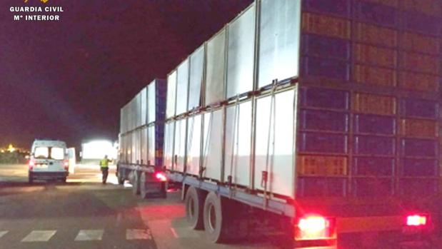 El chorreo de multas que se ha llevado un camionero por llevar miles de pollos sin permiso