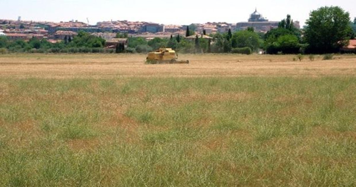 Agricultura en La Peraleda