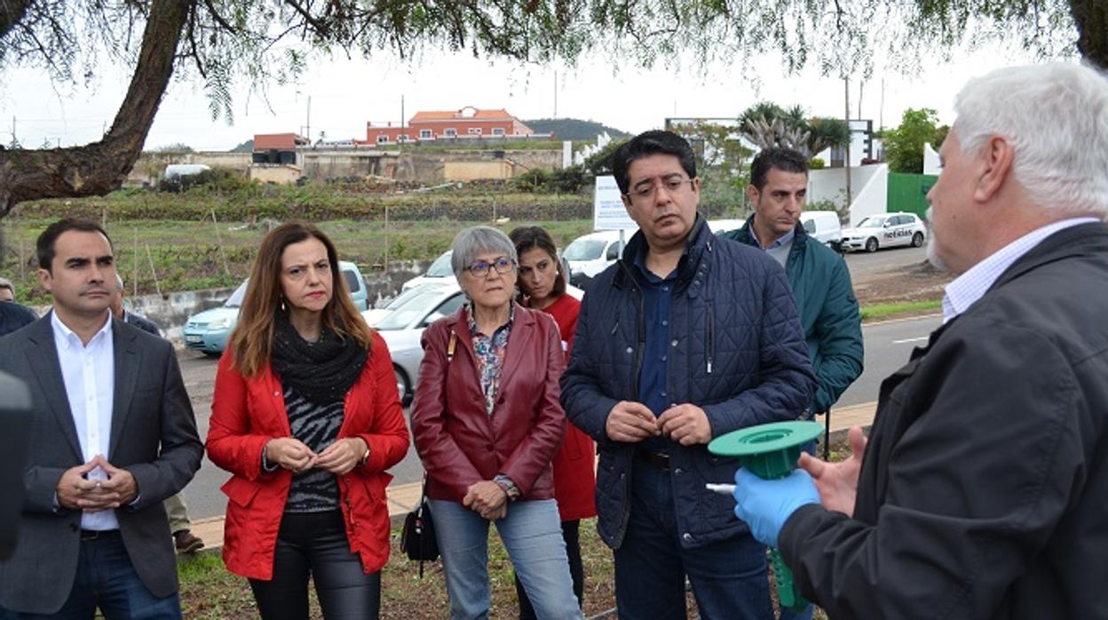 Tenerife empieza con el mayor tratamiento contra termitas subterráneas jamás visto