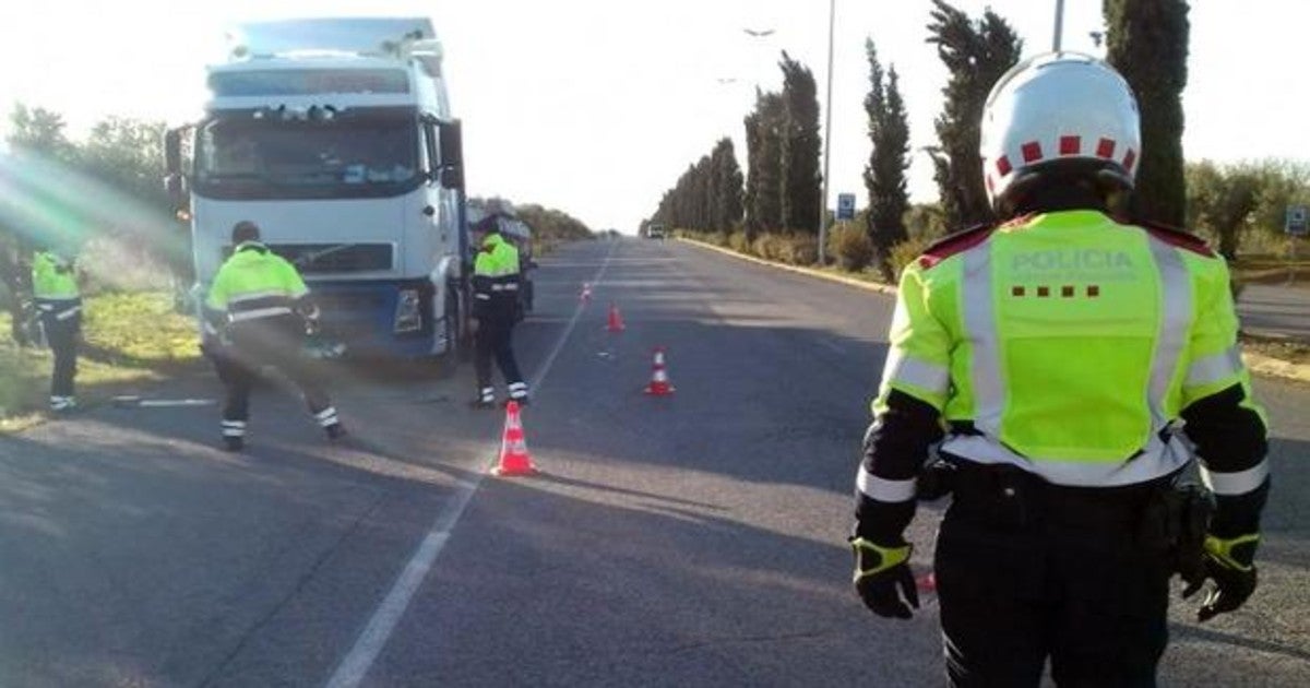 Agentes de los Mossos d'Esquadra, durante la detención