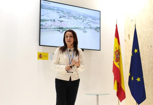 Amelia Navarro, directora de Desarrollo Sostenible en Aguas de Alicante