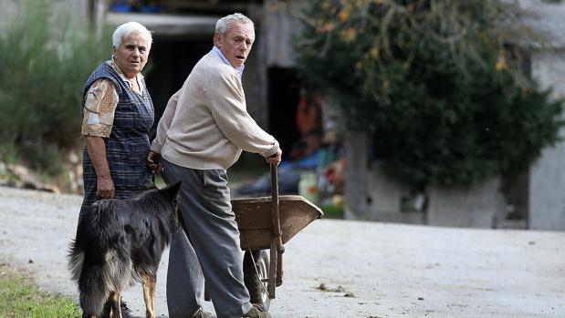 Galicia registró entre enero y junio el peor saldo vegetativo de España