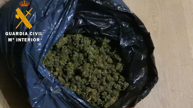 Nueve detenidos en tres operaciones por cultivar marihuana en El Viso de San Juan