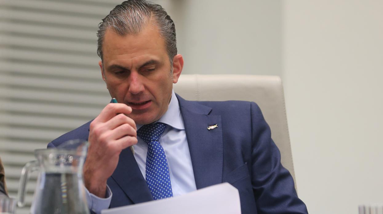 Javier Ortega Smith, durante el pleno del Ayuntamiento