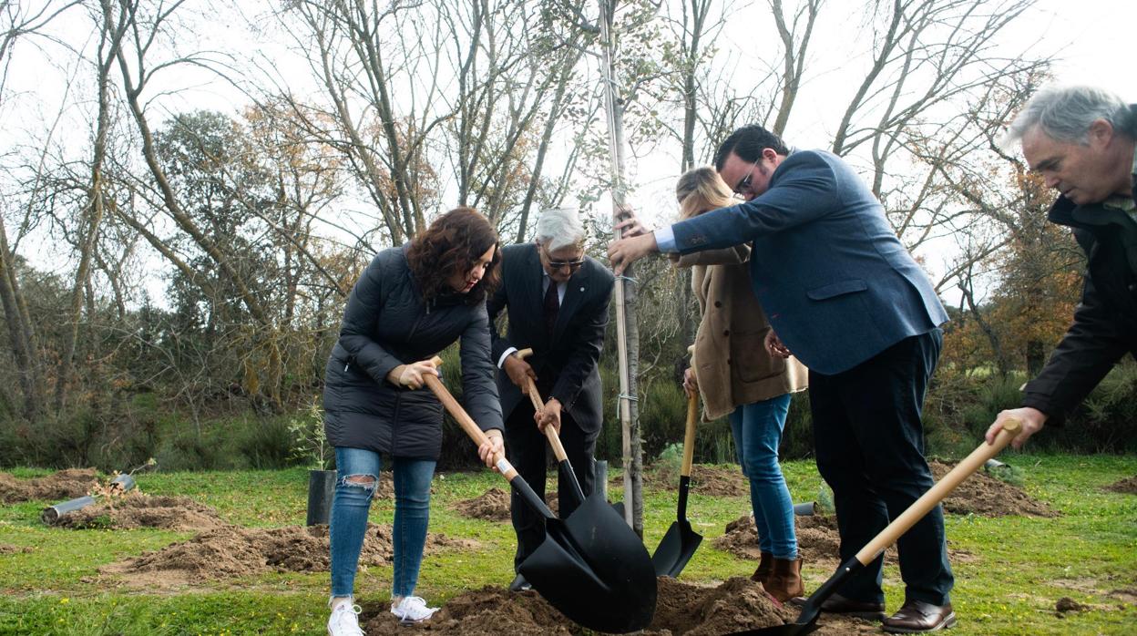 La presidenta Díaz Ayuso, durante la plantación de los primeros árboles del Arco Verde