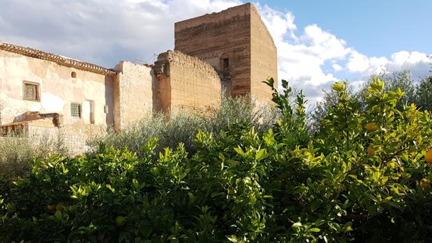 Sale a la luz una gran fortaleza musulmana en el entorno de las Torres de Isso