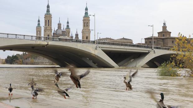 El Ebro inunda 10.000 hectáreas en otra riada calificada oficialmente de «ordinaria»