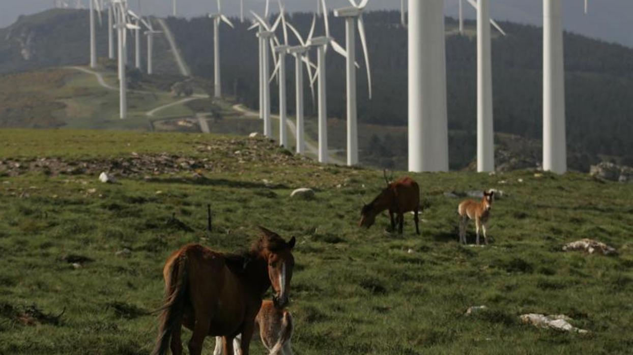 Un parque eólico en la provincia de Lugo