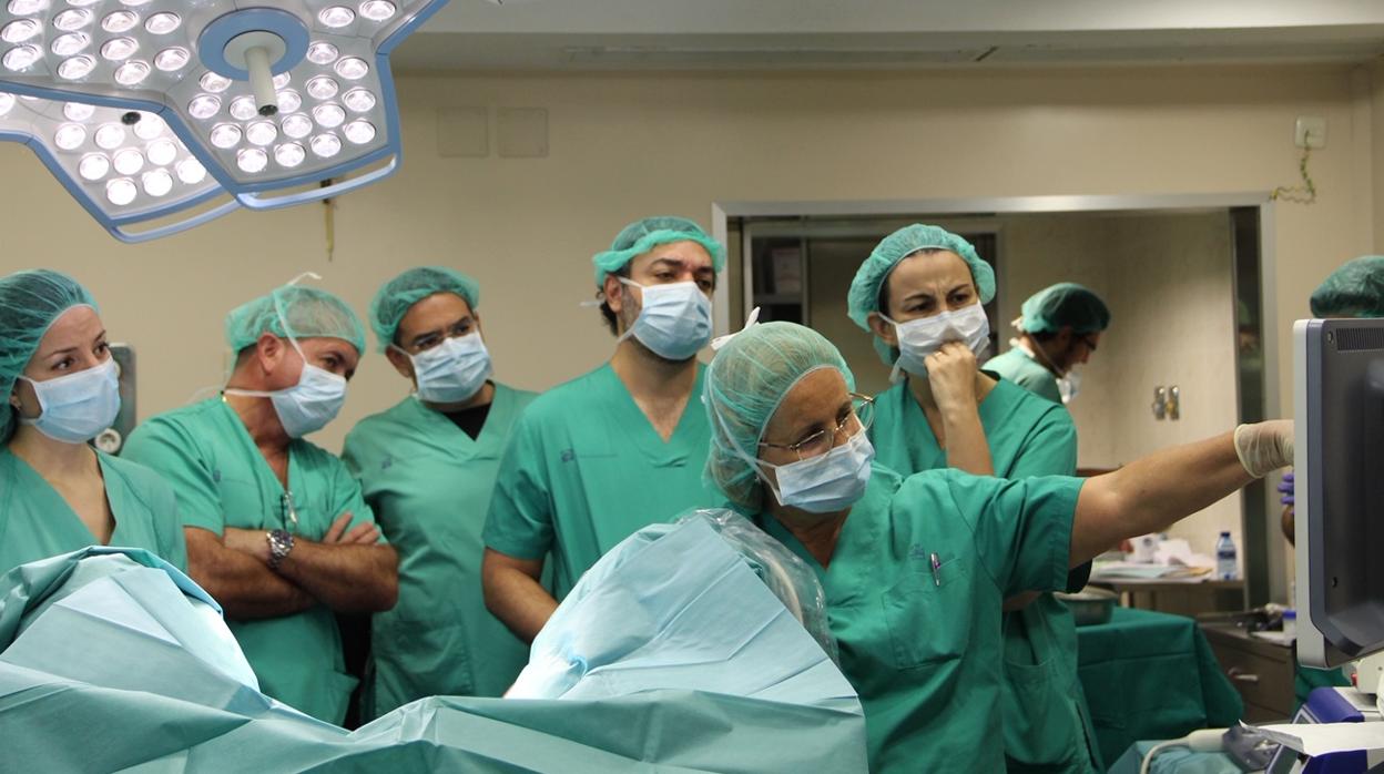 La doctora Cañete en plena demostración