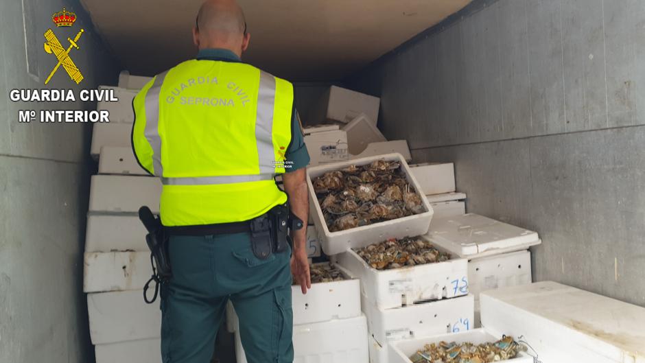 Confiscan más de 1.600 kilos de pescado y marisco no apto para el consumo en la provincia de Valencia