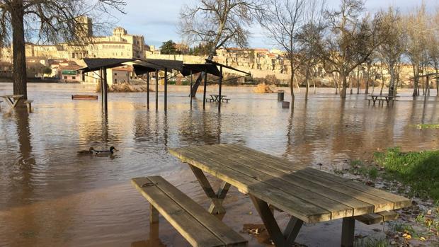 La crecida del río Duero tras el paso de «Fabien» anega caminos y terrenos de cultivo en Toro y Zamora