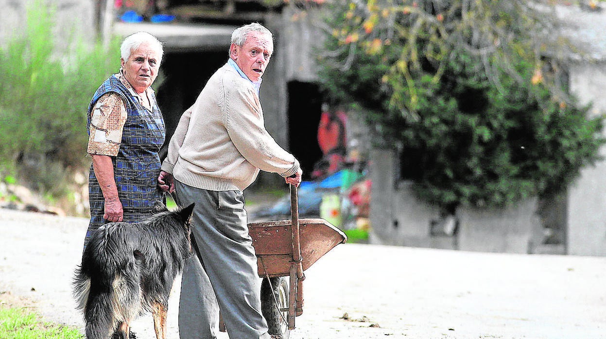 La caída de población afecta, como es lógico, principalmente al rural