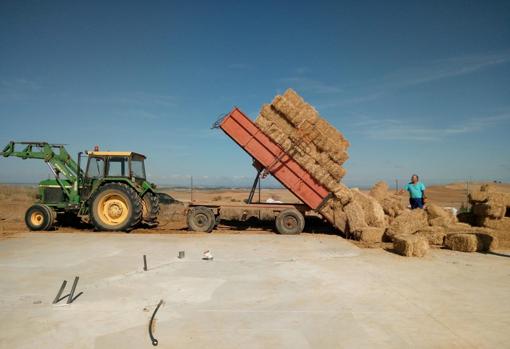 Construye una casa de pacas de paja en un pueblo de León y sus vecinos creen que está «loco»