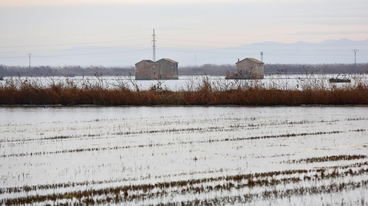 Imagen de La Albufera de Valencia