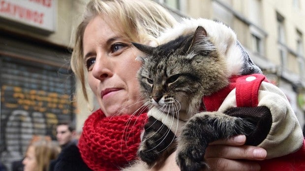 Los animales celebran su día grande con la bendición de San Antón