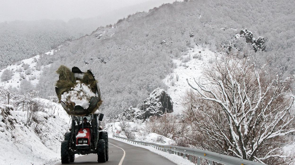 Nieve en la montaña de León