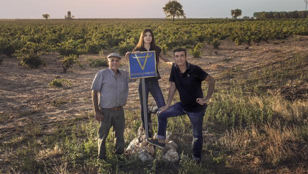 Dos vinos de Castilla-La Mancha, de Bodegas Volver, triunfan en premios internacionales