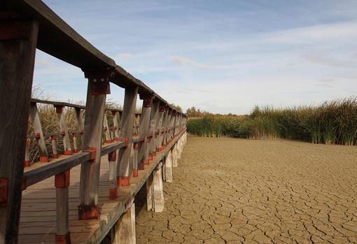 Imagen de archivo de las Tablas de Daimiel