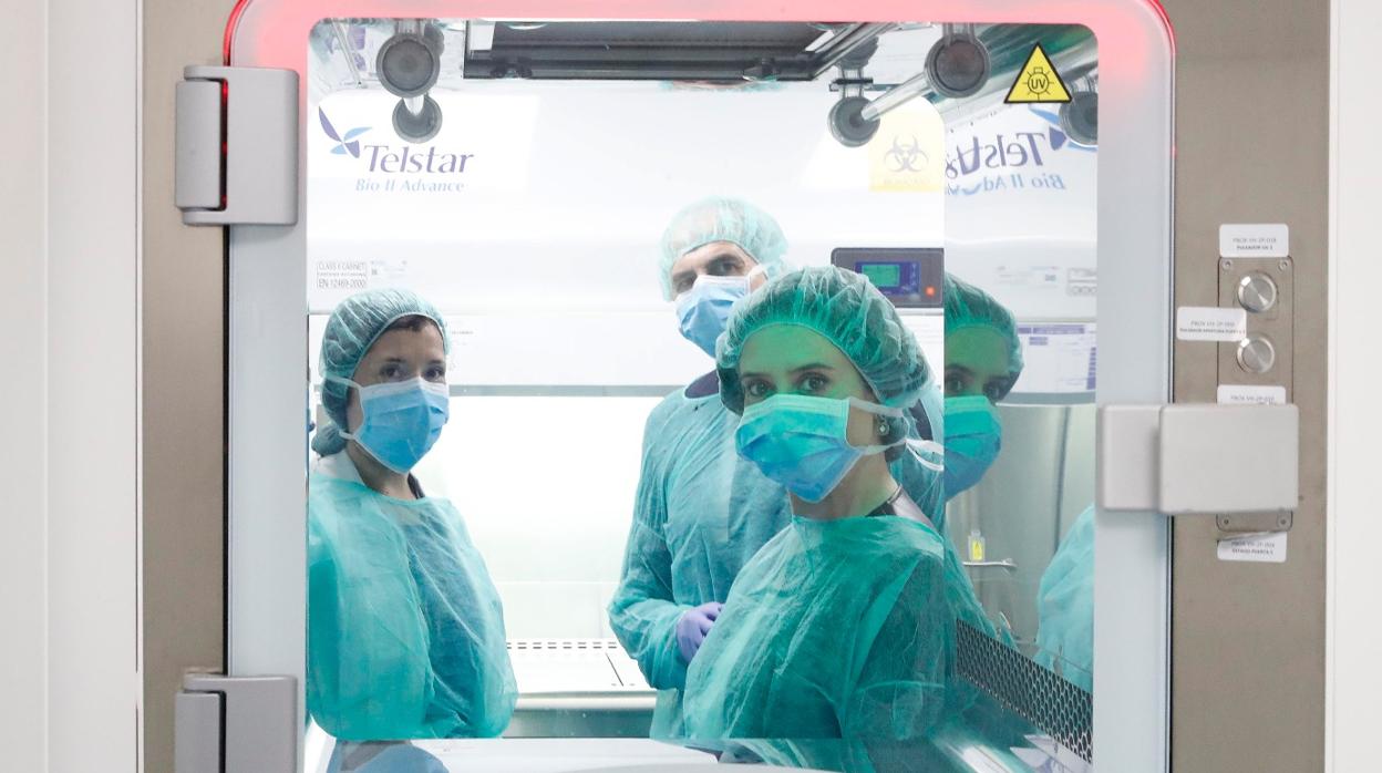 Isabel Díaz Ayuso, durante su visita al laboratorio del Hospital 12 de Octubre