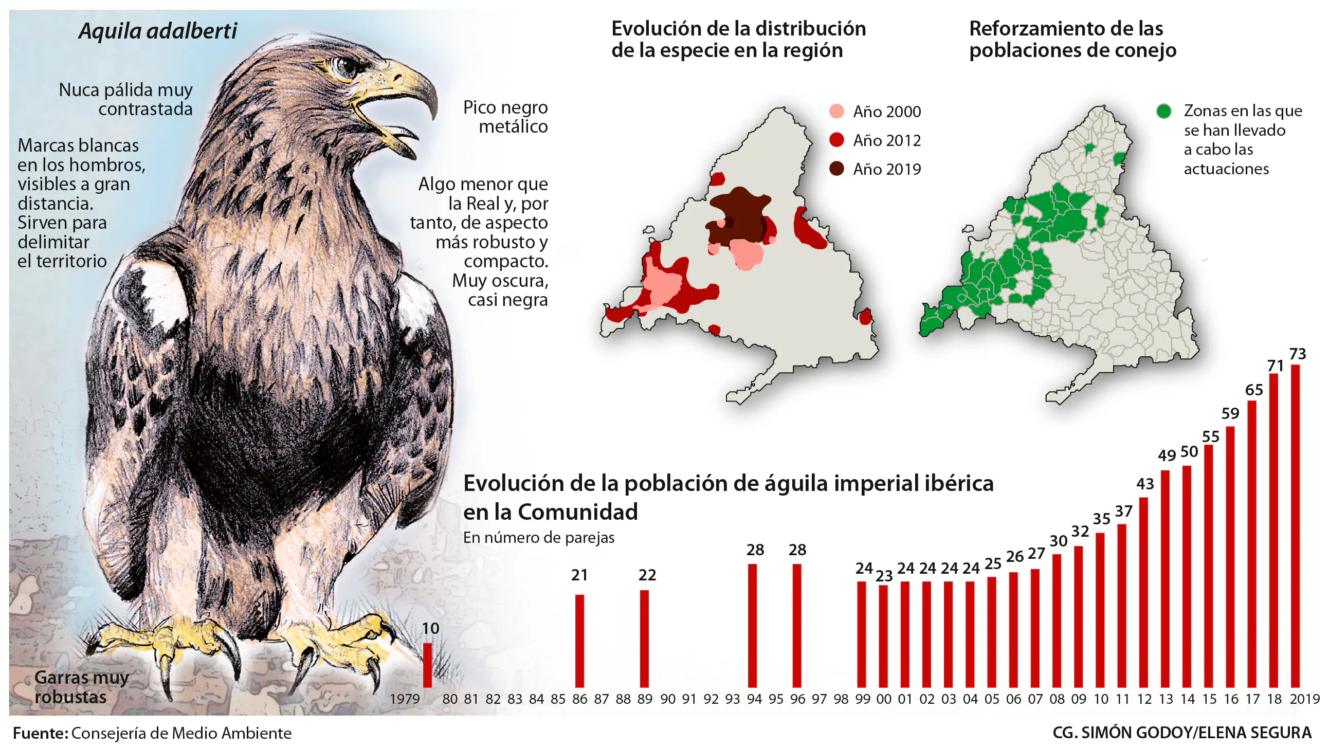 El águila imperial alcanza su récord de parejas reproductoras en la  Comunidad de Madrid