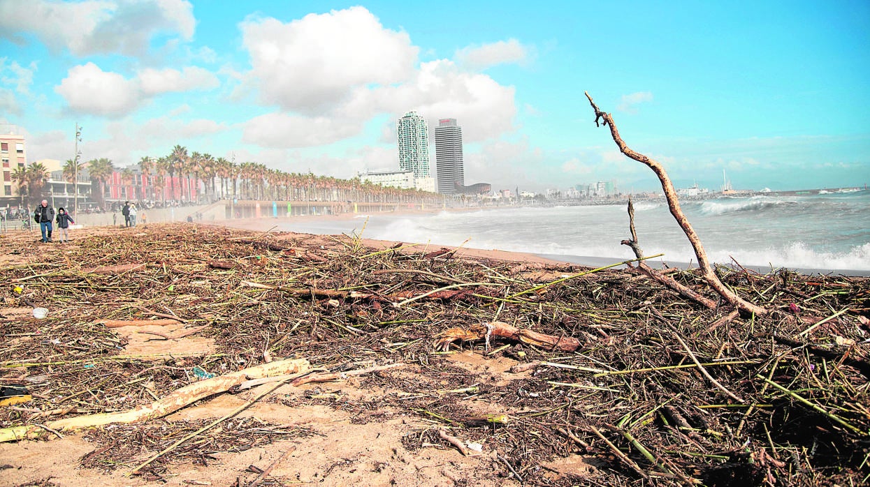 Una de las playas de Barcelona, días después del temporal